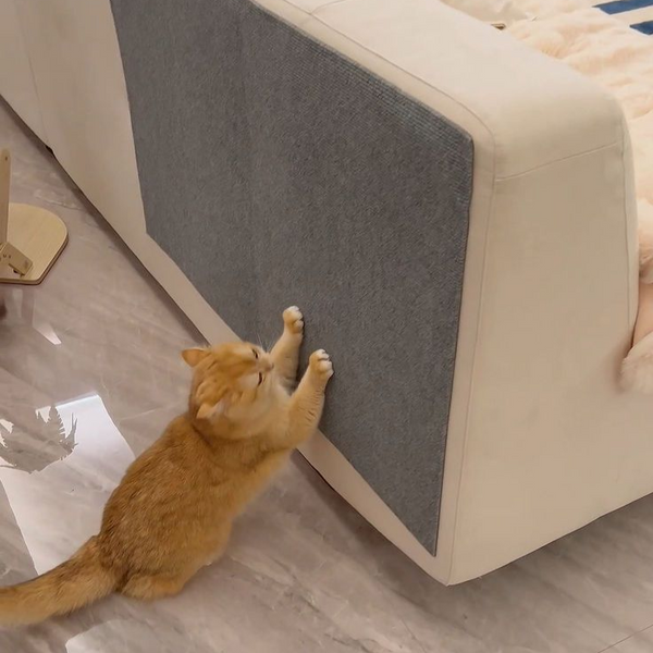 Car Scratcher Sofa Protector