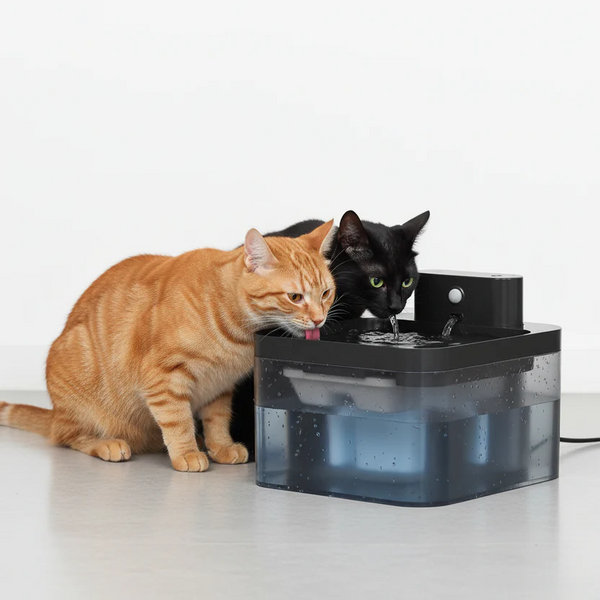 Wireless Automatic Cat Water Fountain