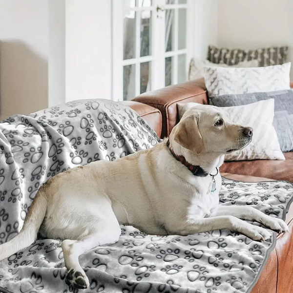 Fluffy Warm Pet Blanket