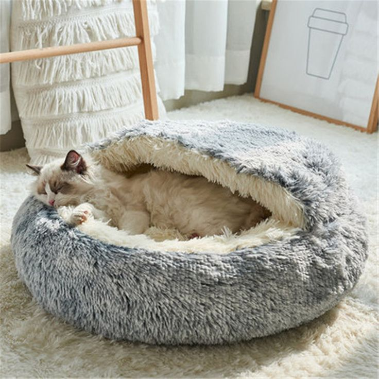 2-In-1 Plush Pet Bed with Blanket