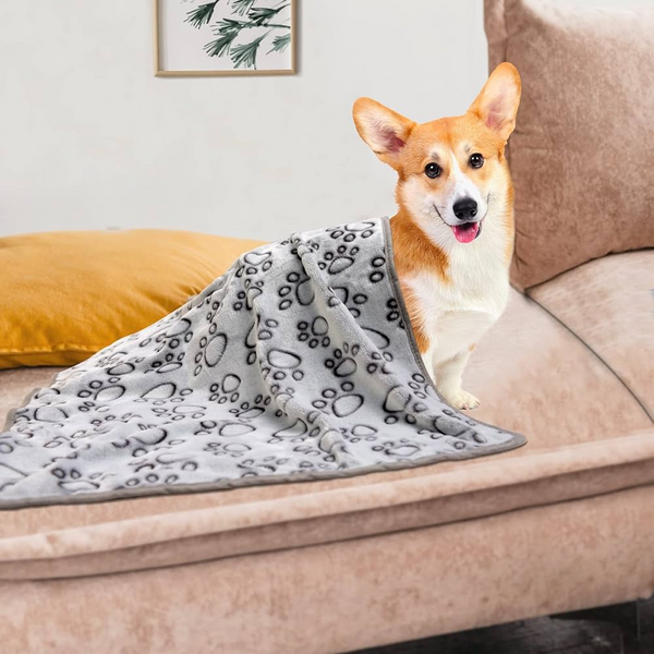 Fluffy Warm Pet Blanket