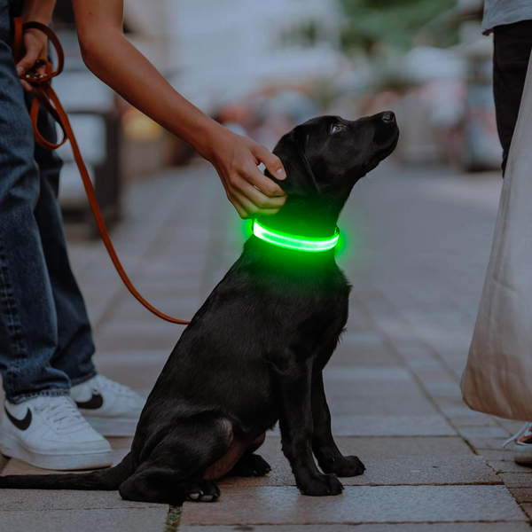 LED Flashing Traction Collar Light Strip