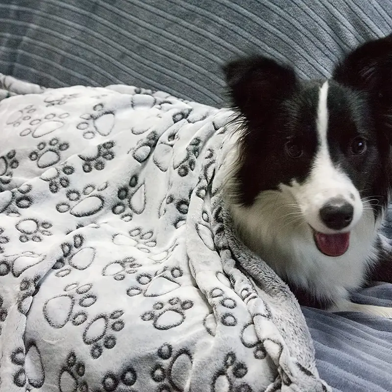 Fluffy Warm Pet Blanket