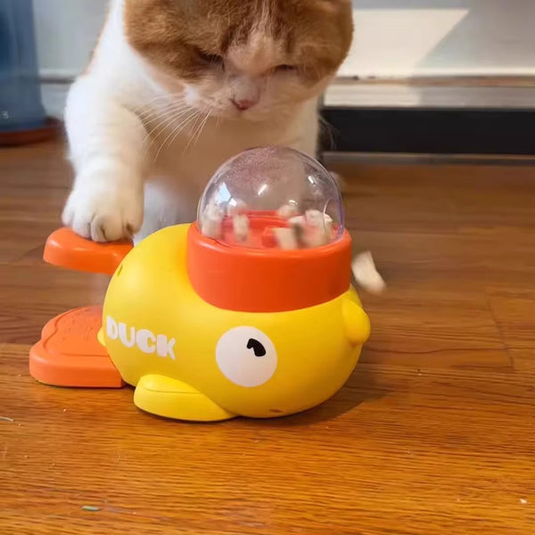 Interactive Duck Puzzle Dog Feeder