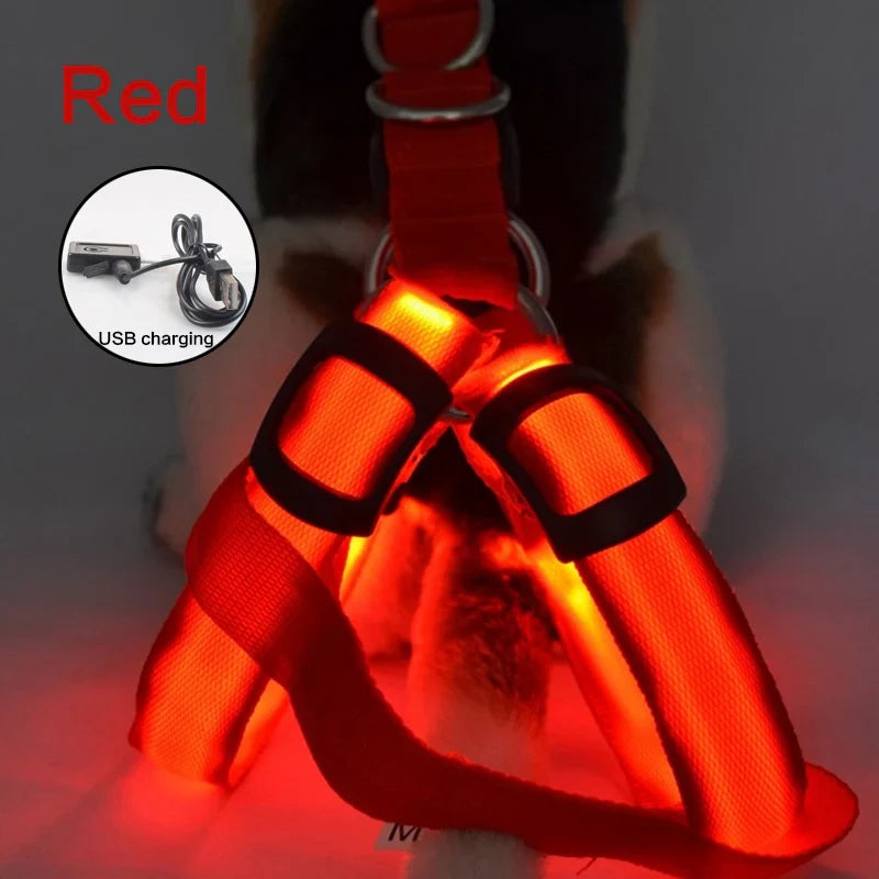 LED Neon Safety Harness