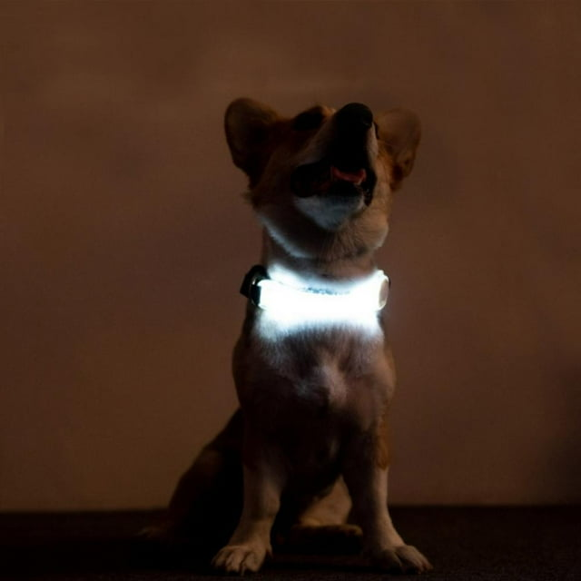 LED Flashing Traction Collar Light Strip