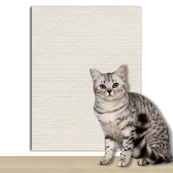 Car Scratcher Sofa Protector