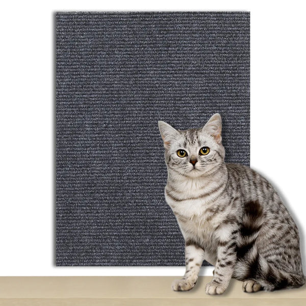 Car Scratcher Sofa Protector