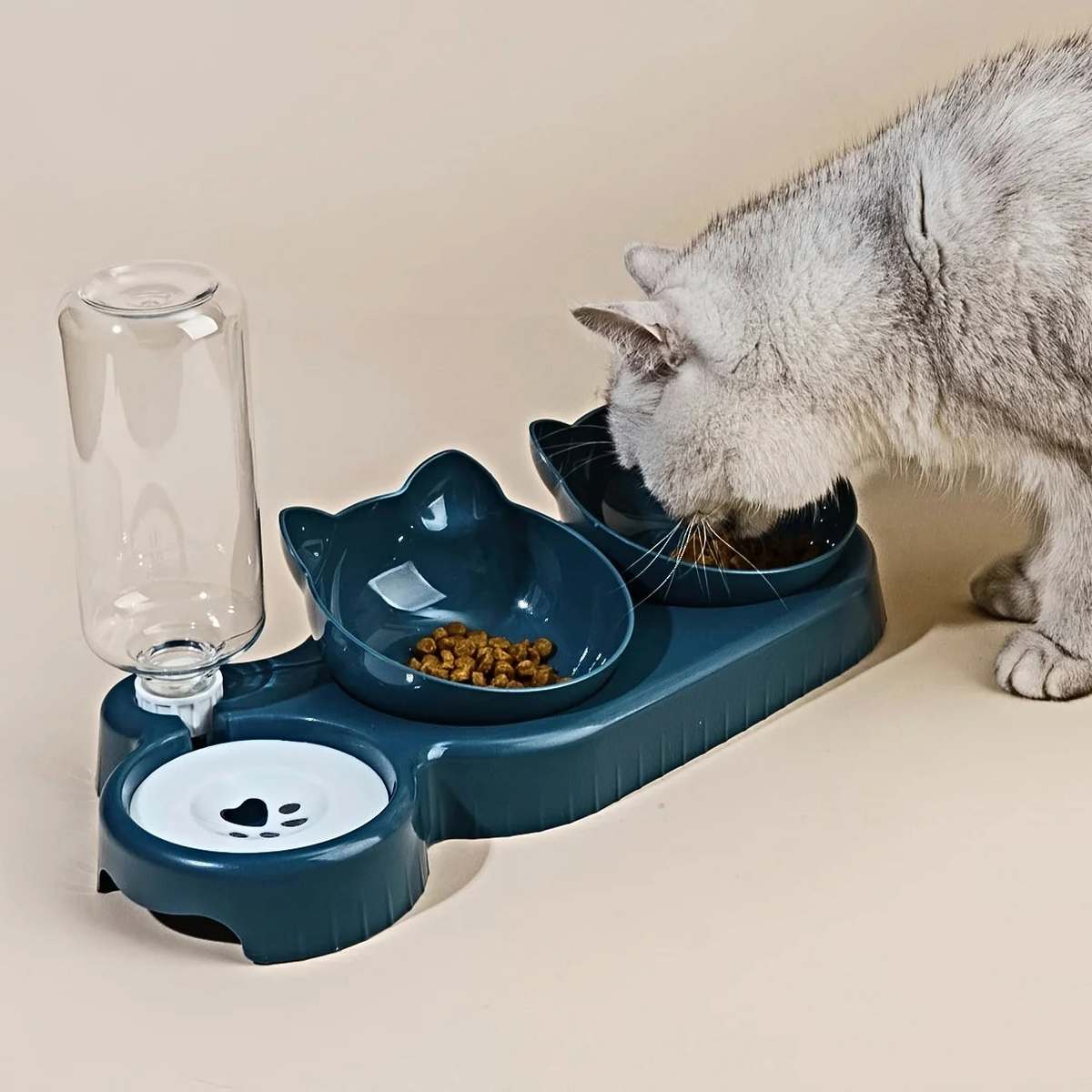 3-In-1 Double Bowl Elevated Cat Feeder