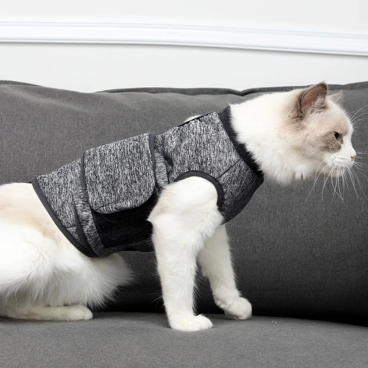 Anxiety Relief Safety Cat Vest
