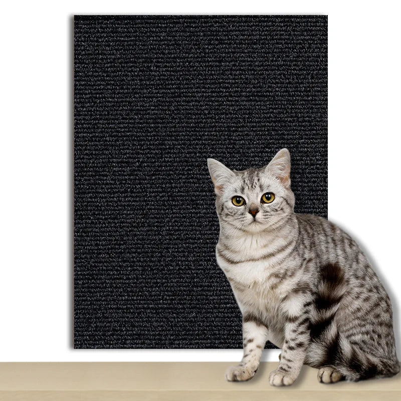 Car Scratcher Sofa Protector
