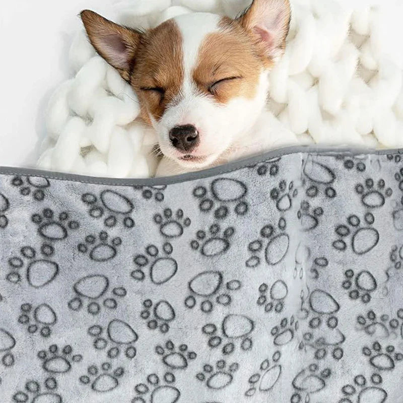 Fluffy Warm Pet Blanket
