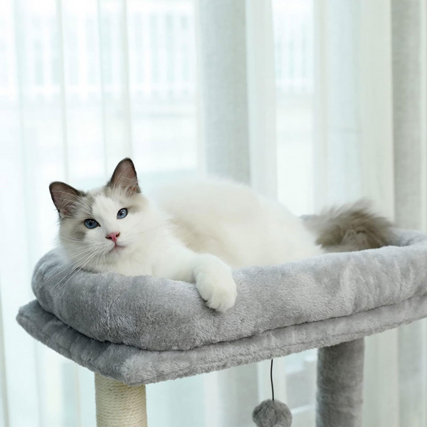 Cat Tree Tower with Modern Spacious Hammocks