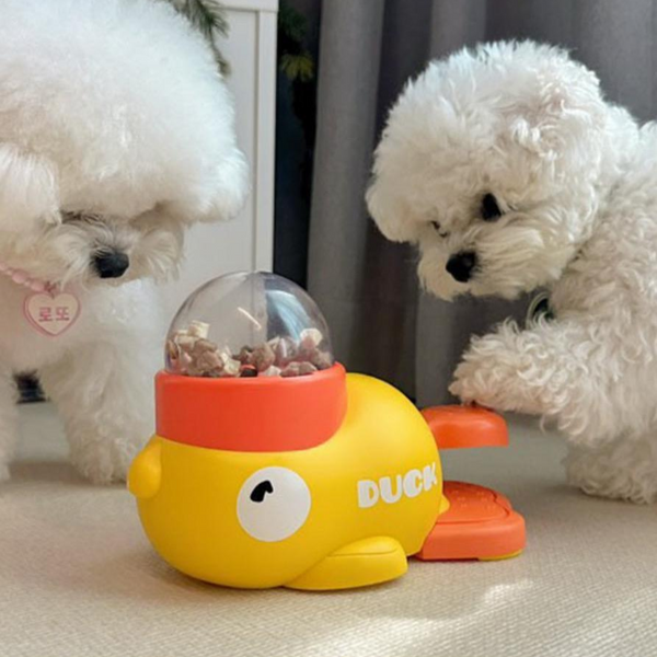 Interactive Duck Puzzle Dog Feeder